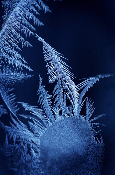 WINTER 11
