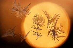 WINTER 02