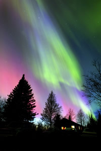 WINTER 03