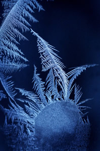 WINTER 11