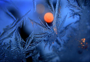 WINTER 12