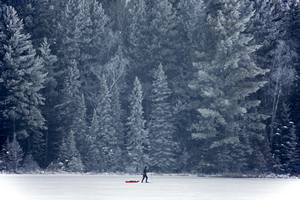 WINTER 14